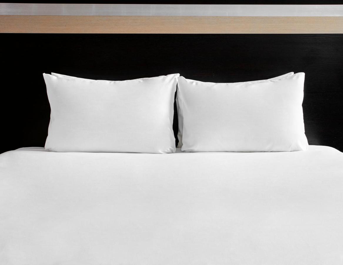 Standaard Kamer met Queensize Bed - Geschikt voor Gasten met een Lichamelijke Beperking