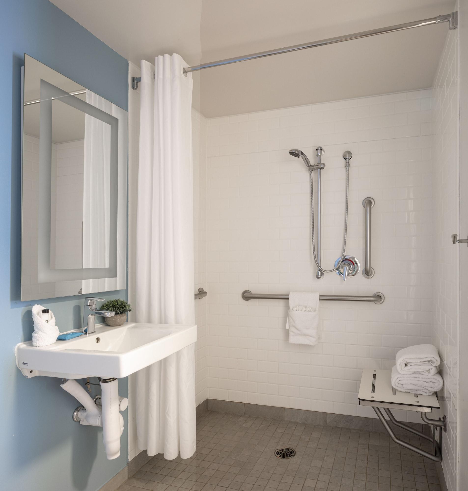 Habitación Estándar adaptada para personas con discapacidad/ducha accesible en silla de ruedas - 1 cama extragrande