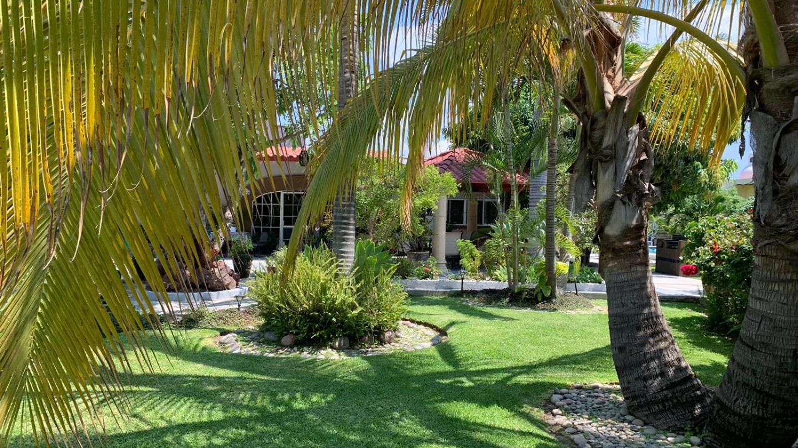 King Room Garden View