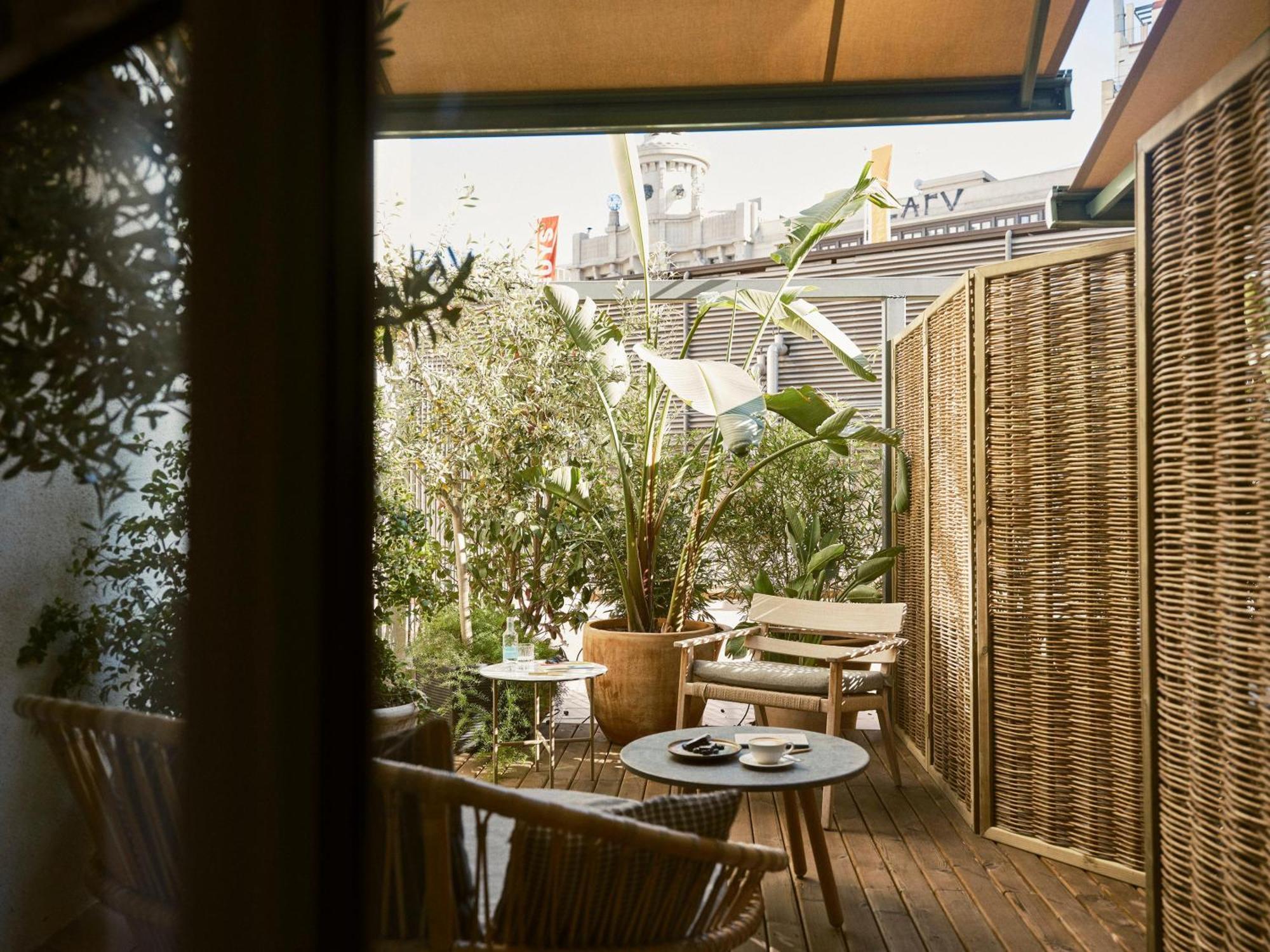 Double or Twin Room Terrace