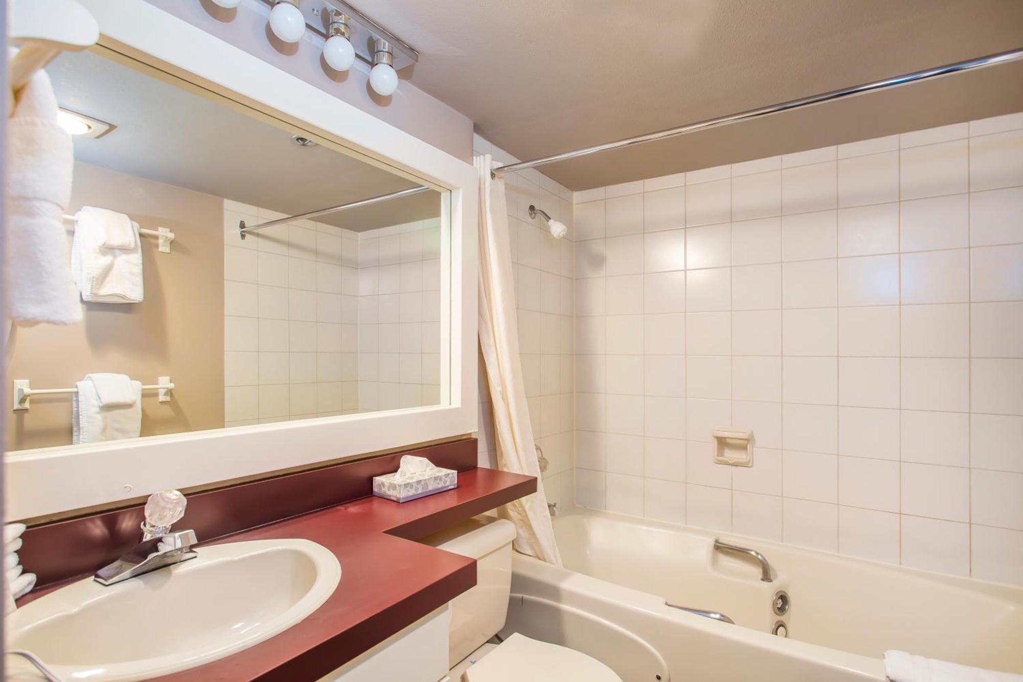 One-Bedroom Suite - Bronze Unit 306