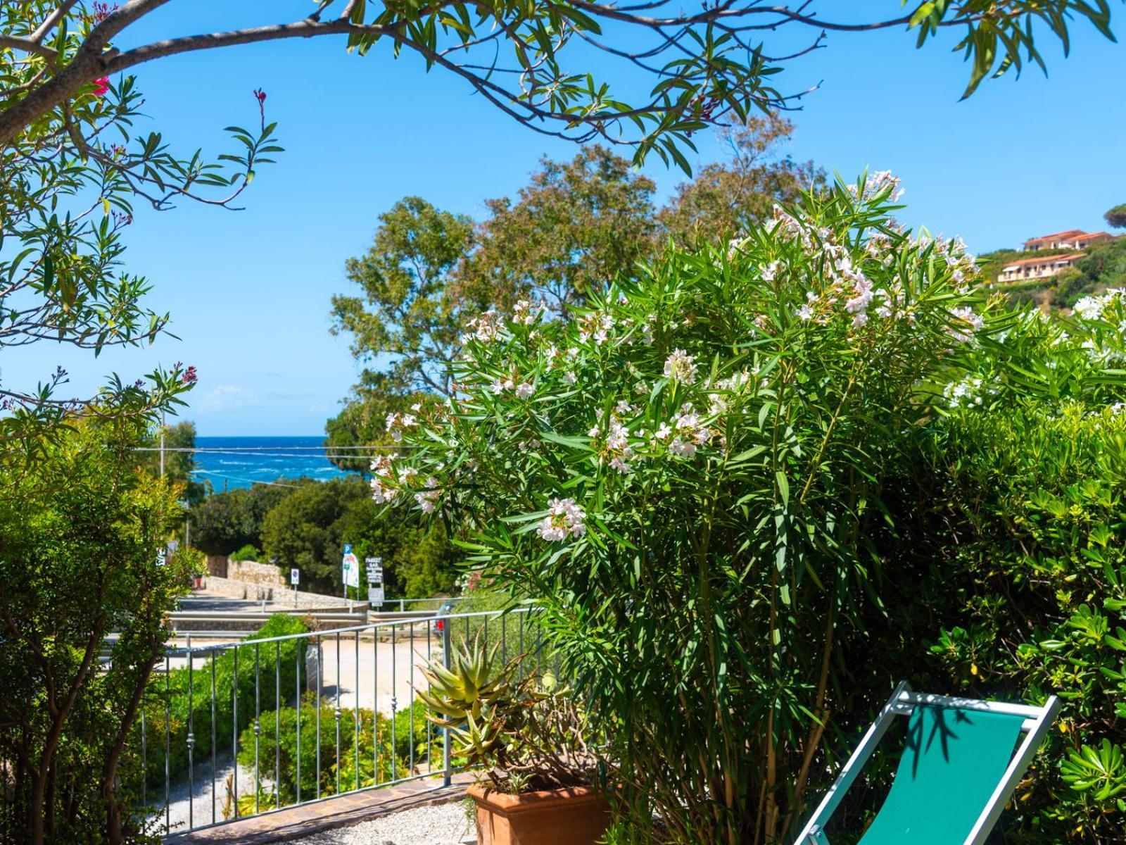 One-Bedroom Apartment Sea View
