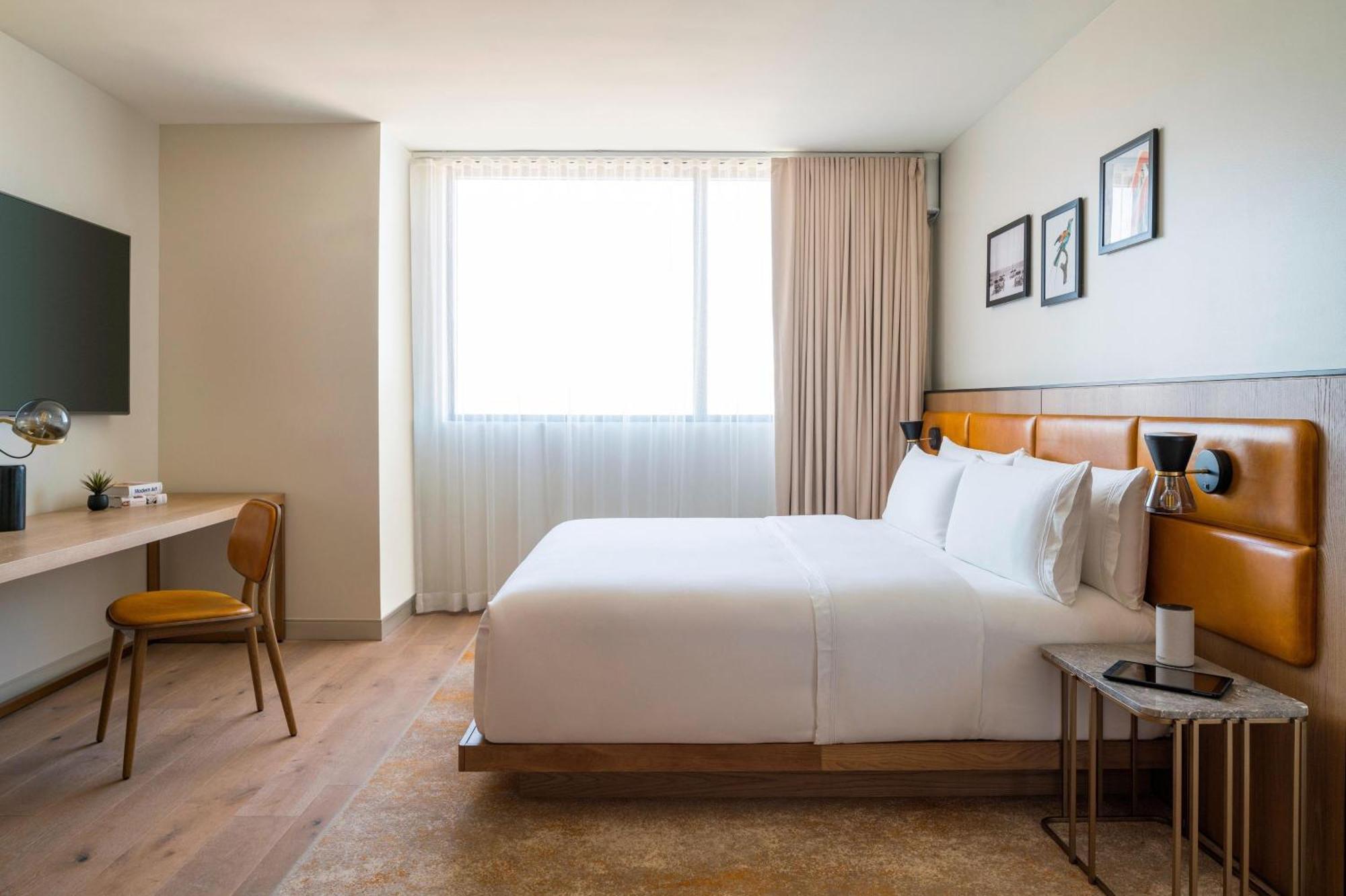 One Bedroom Junior City Suite One King with Sofa Bed,1634449409:JPEG