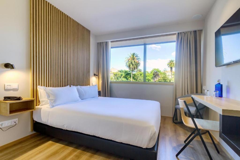 Superior Double or Twin Room,1708321628:JPEG