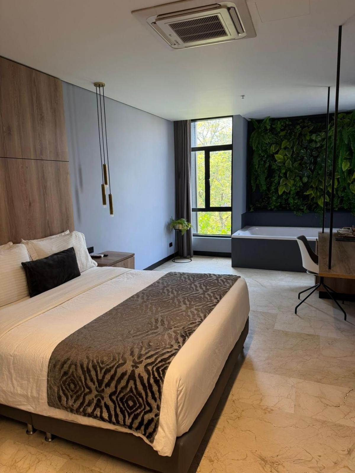Superior Queen Room