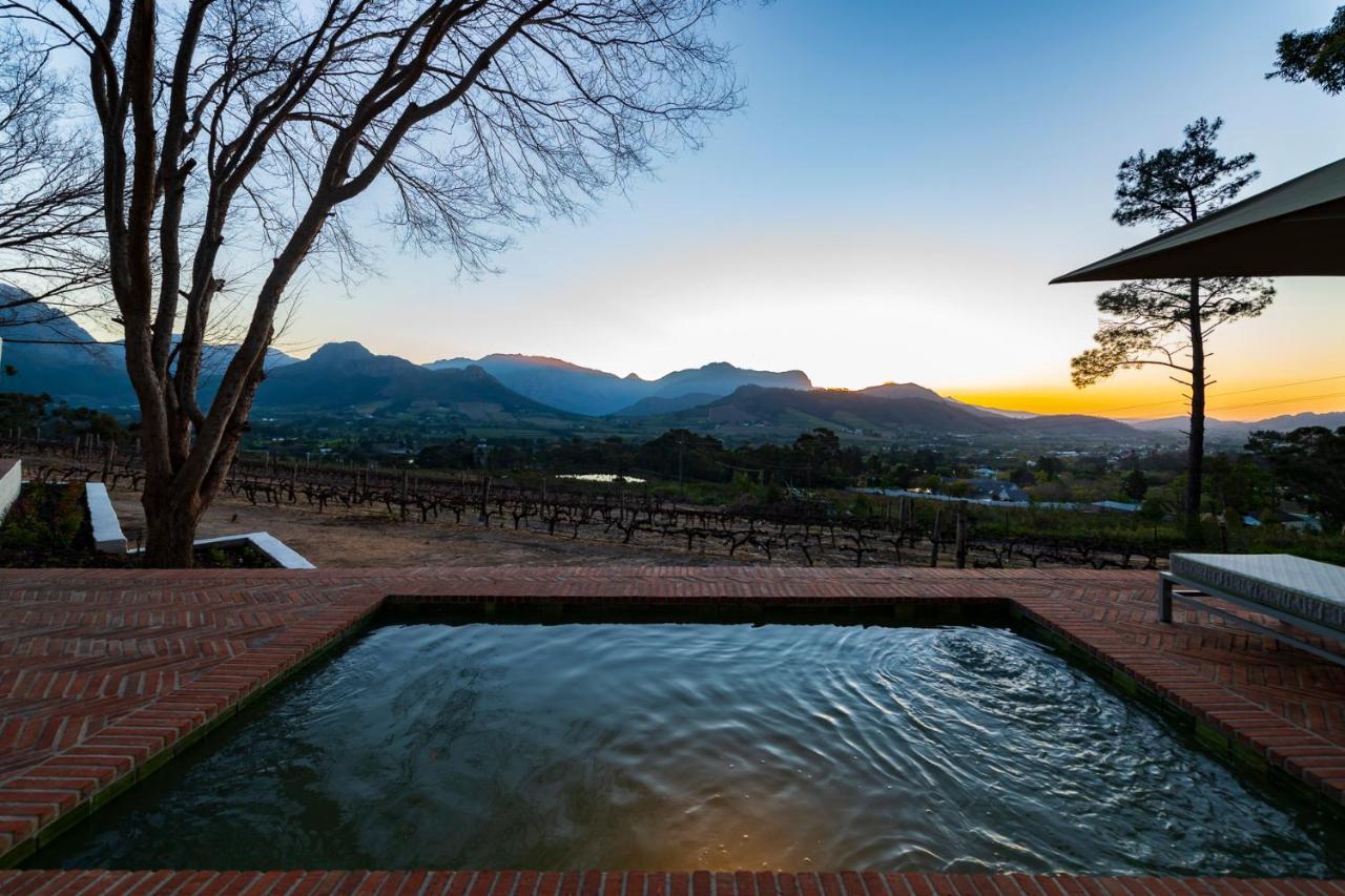 Deluxe Vineyard Suite - Africa