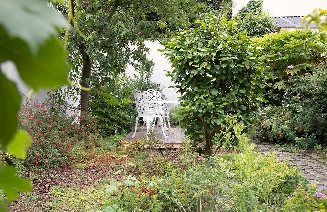 The Greenhouse-1