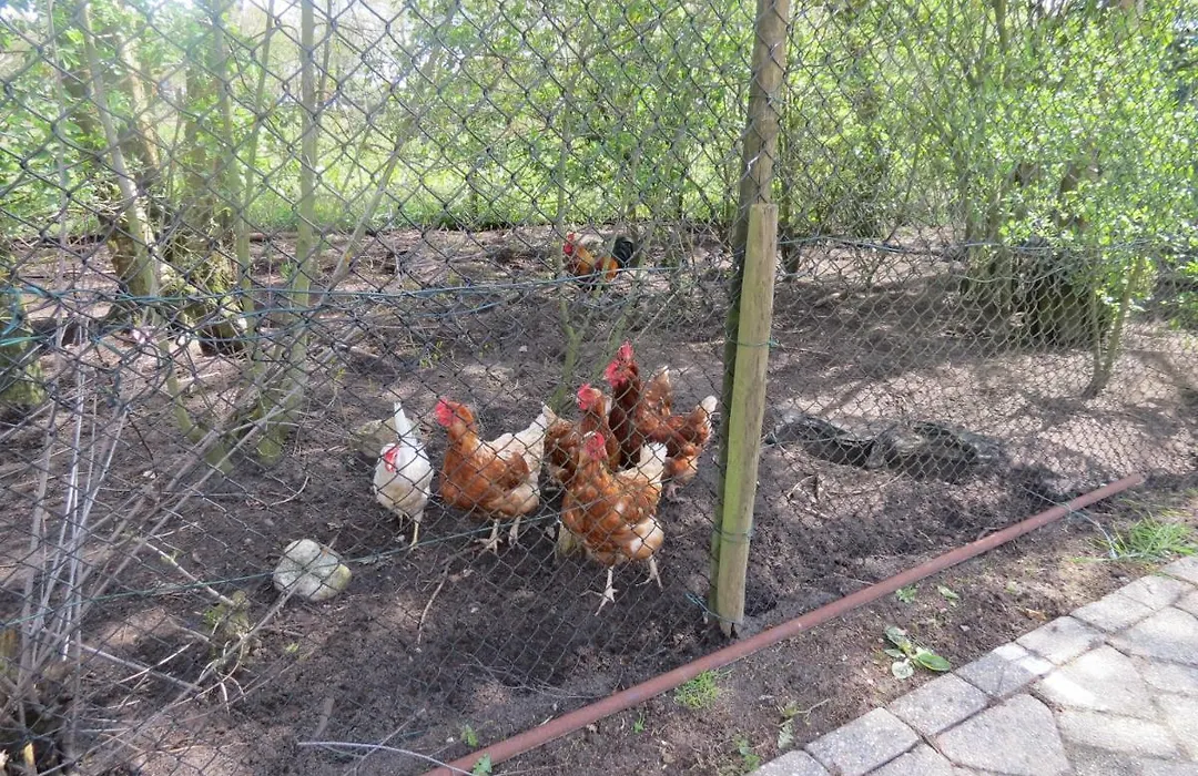 B&B de Berghoeve-1
