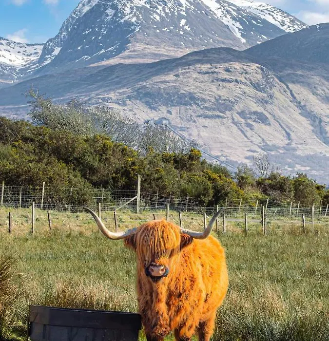 Ben Nevis Manor-1