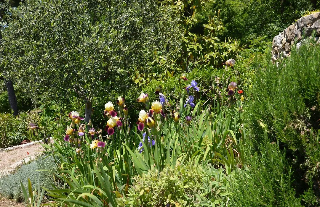 La Bastide des Pins-1