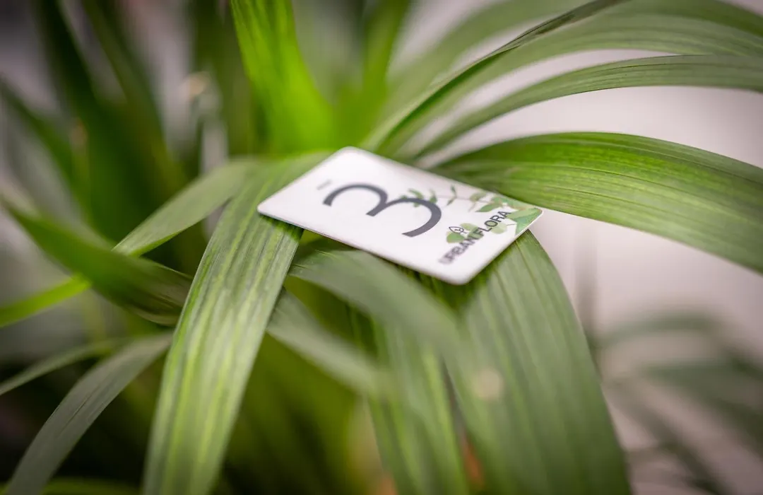 Urbanflora-1
