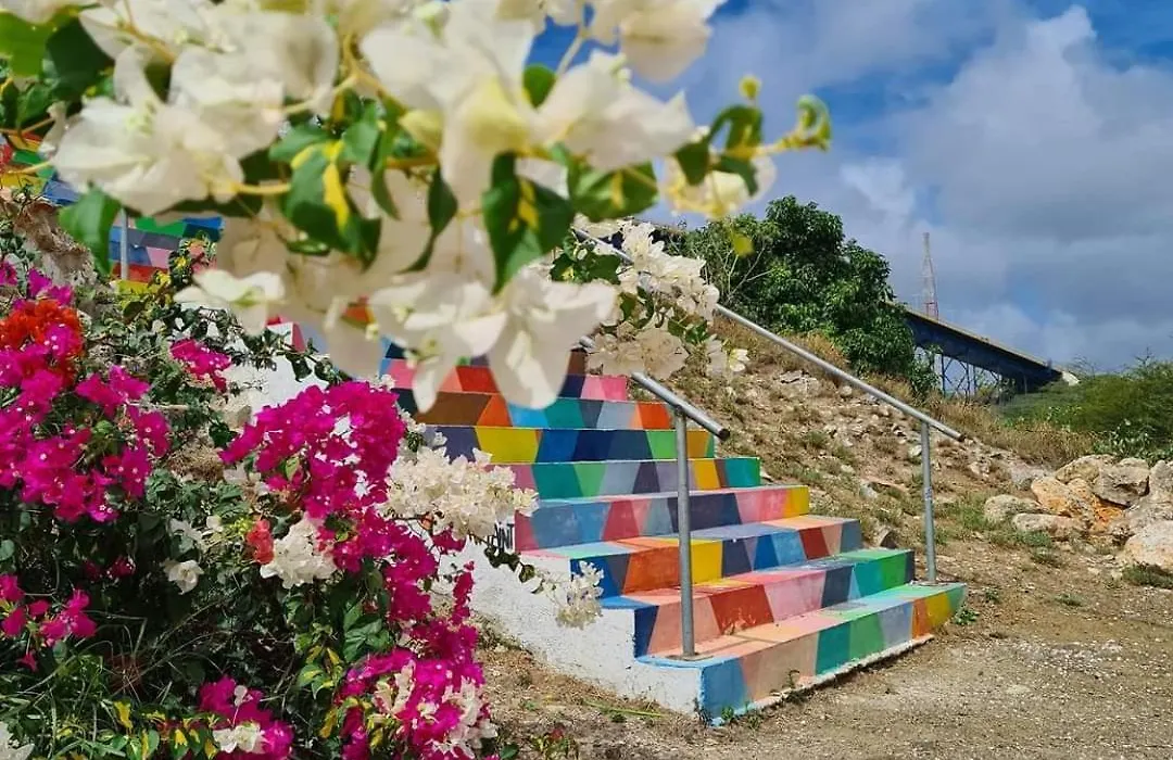 Caribbean Beach Resort Blenchi Curacao-1