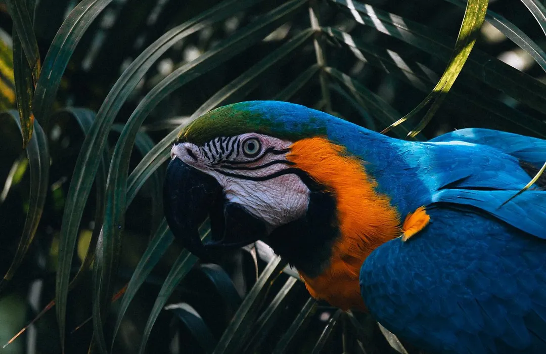 Villa Maria Tayrona, Jungle And Sea Experience-1