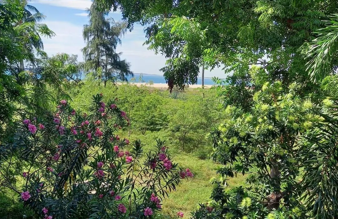Blue Sands Beach Resort-1