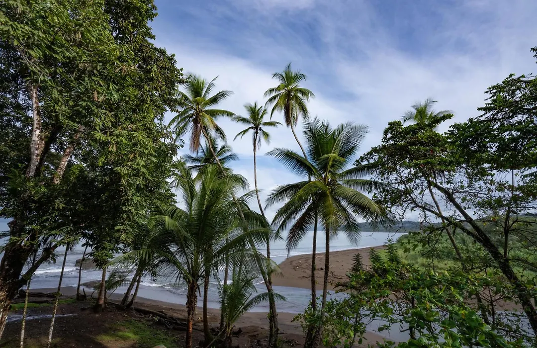 Pirate Cove-1