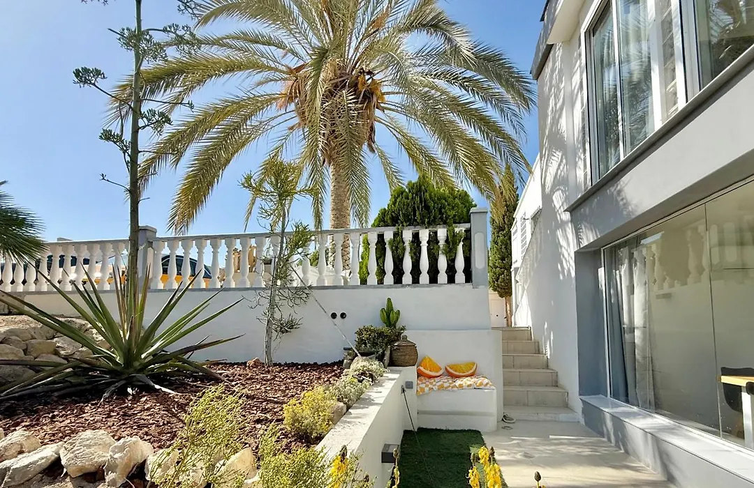 Kiwidestiny Alicante-1