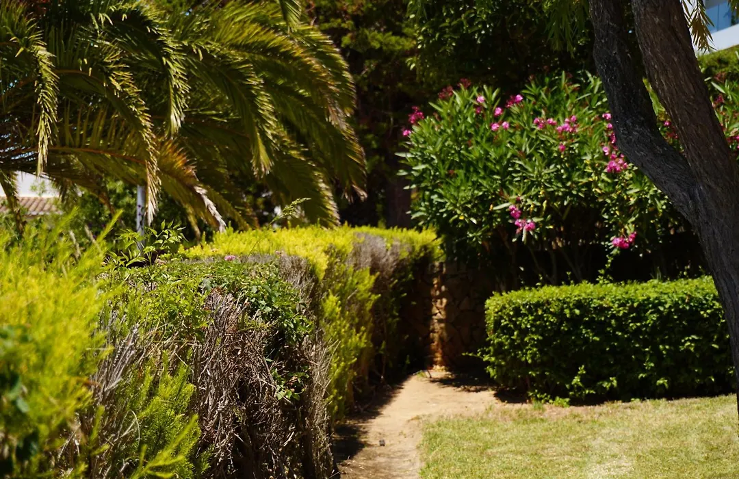 Clube Porto Mos - Sunplace Hotels & Beach Resort-1