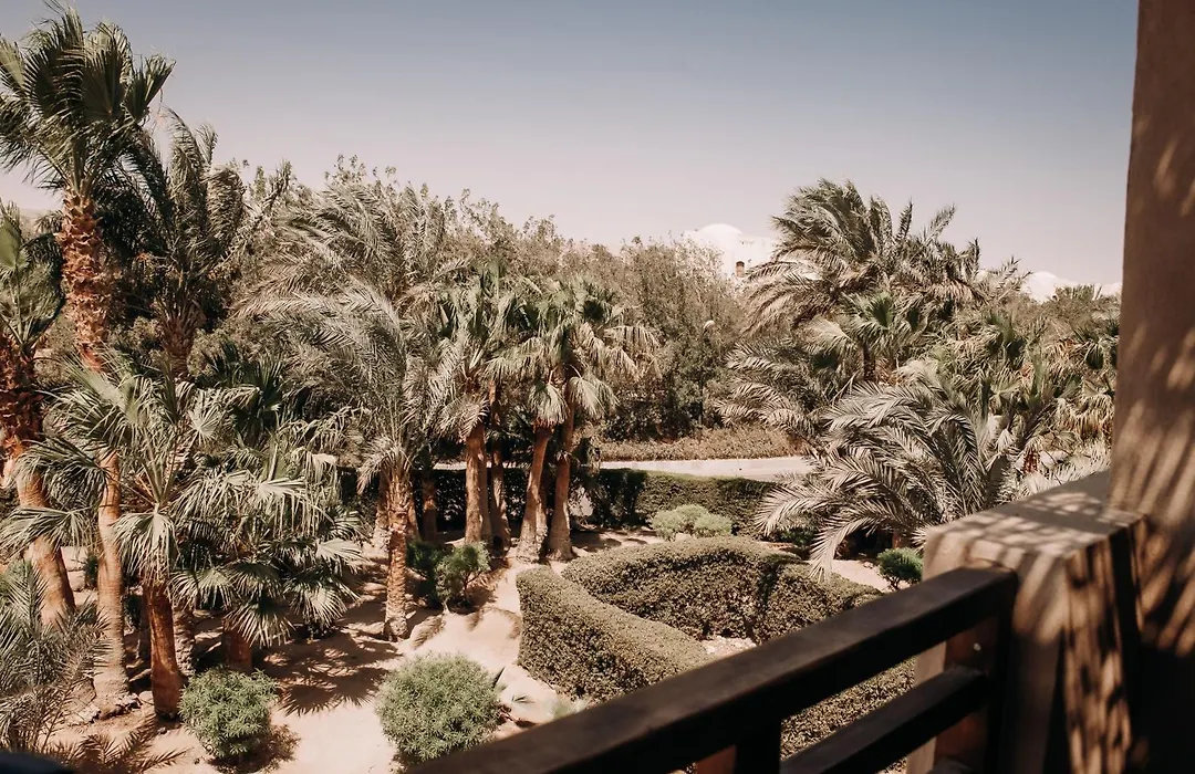 Cook'S Club El Gouna (Adults Only)-1