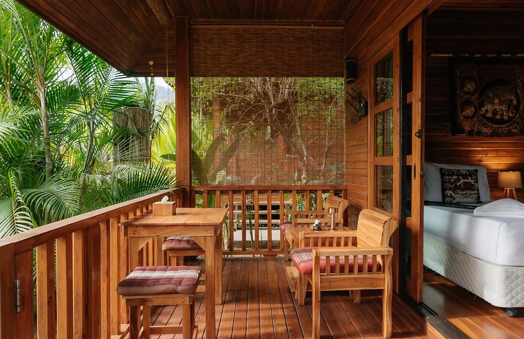 Samui Blue Bird-1