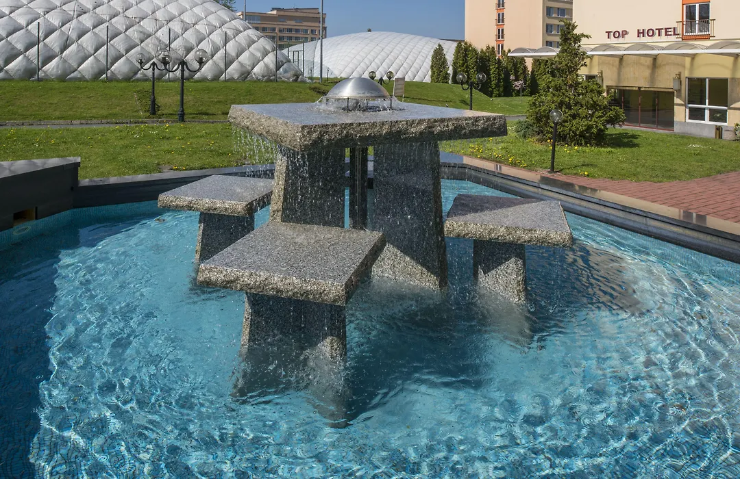 Top Hotel Praha-1