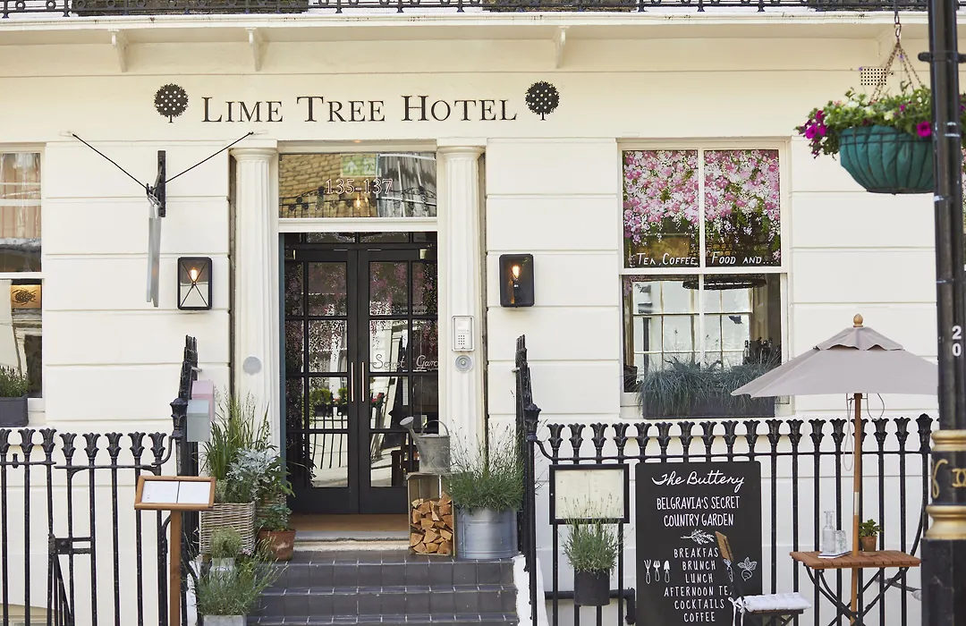 Room Mate Lime Tree-1