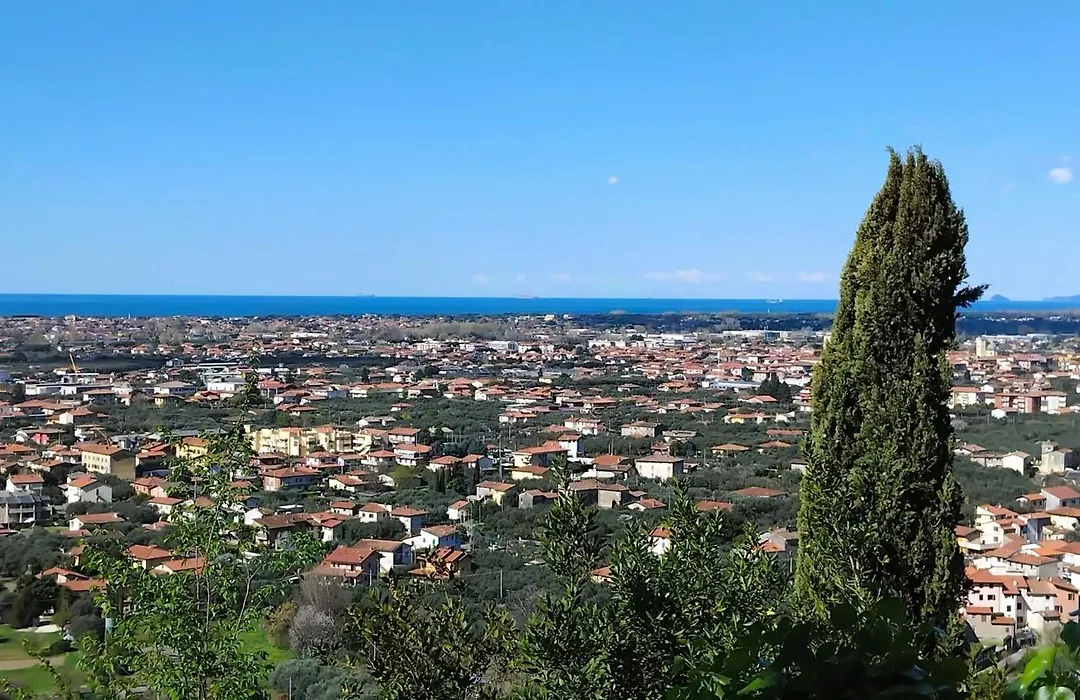 Belvedere 10-1