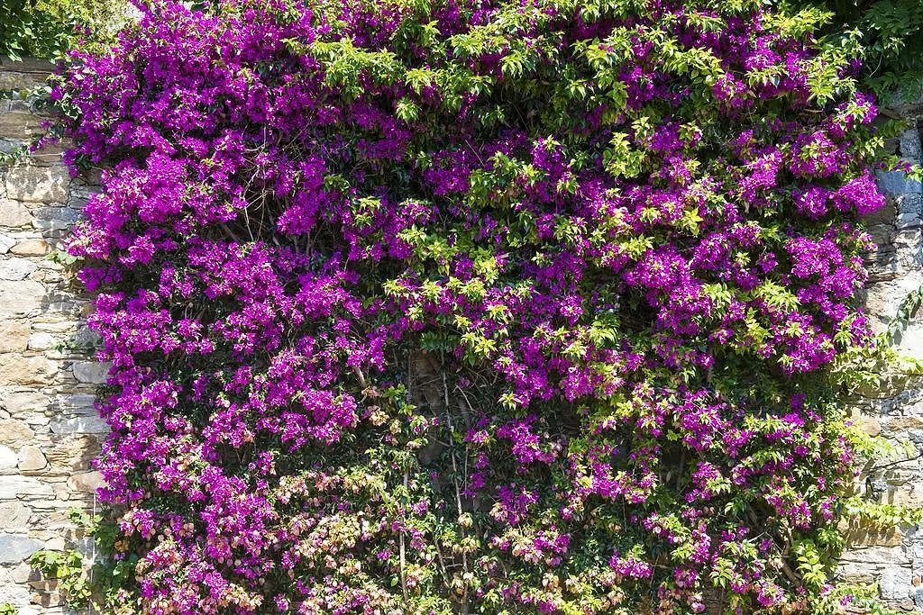 B&B Renalù-1