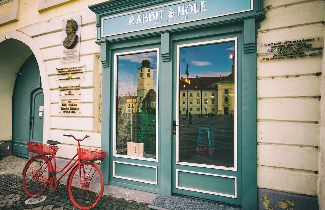 Rabbit Hole-1