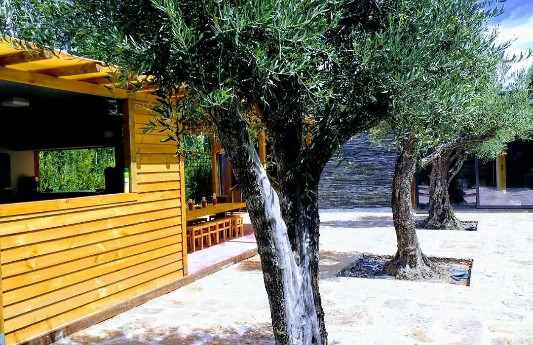 Casa Do Prado Guesthouse-1