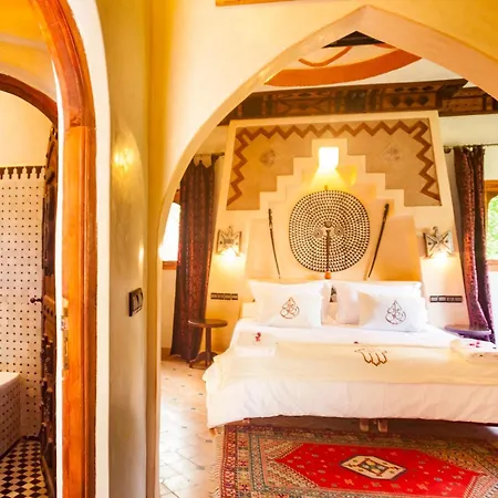 Riad Lamane-2