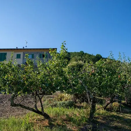La Beppa - Casa Vacanza-2