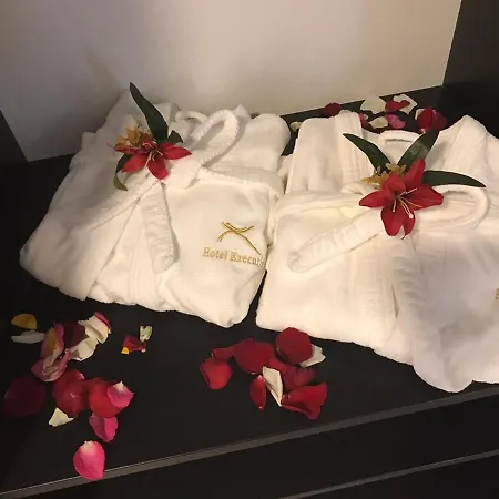 Executive Hotel-2