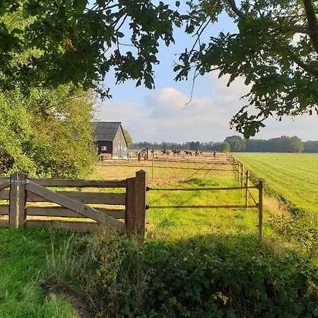 B&B de Berghoeve-2