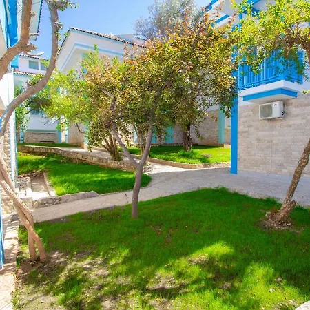 Zehra Tatil Koeyue-3