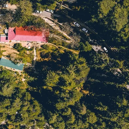 Seclude Shimla, Taraview-2