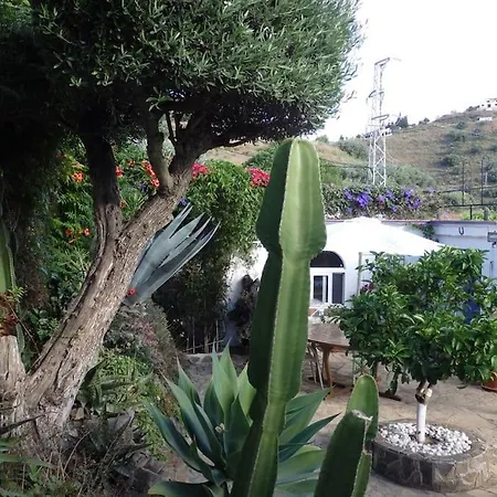 Finca El Cisne, Torrox-2