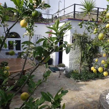 Finca El Cisne, Torrox-3