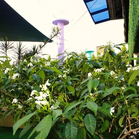 Hotel Casa Miller-2