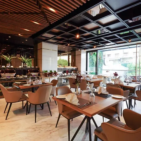 Zest Metropole-3