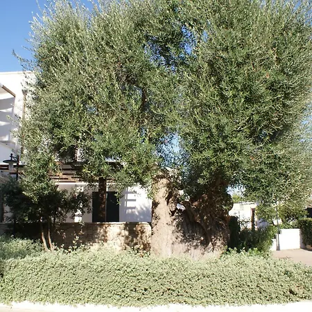 Messapia Hotel 2-3