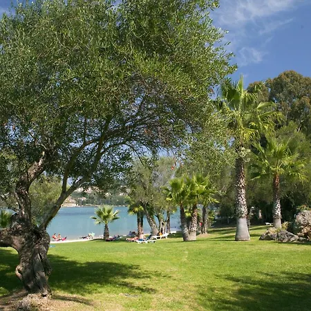 Govino Bay-3