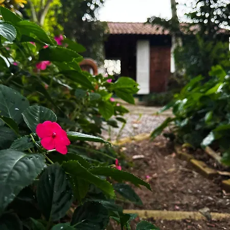 JoãoeMaria da Ilha-3