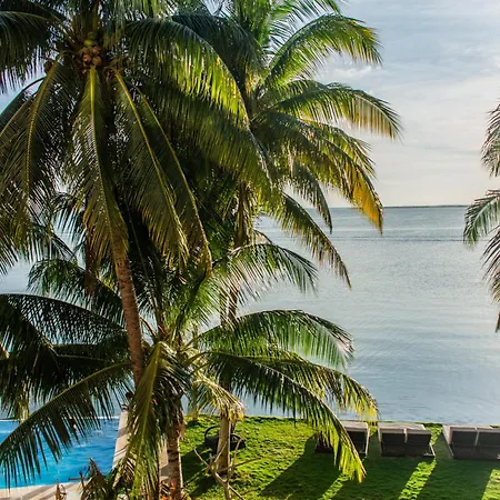 Casa Tortugas Boutique Hotel - A Hidden Gem In Cancun-2