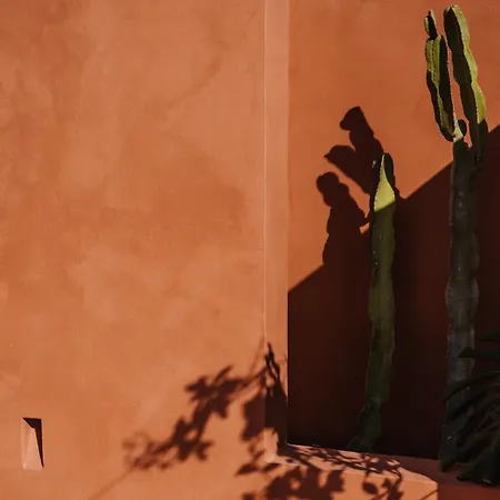 OZIO - Il trullo rosso-3