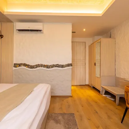 Arushi Boutique Hotel-2