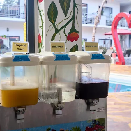 Canary Hotel & Spa-3