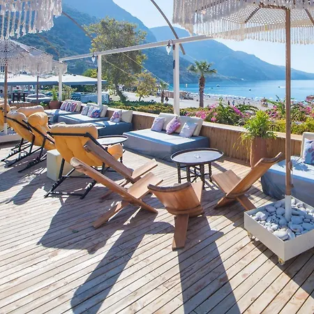 Oyster Residences - Adult Only-2