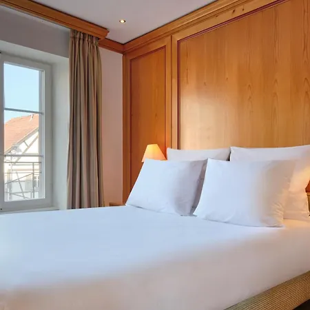 Hotel & Spa A La Cour D'Alsace By Happyculture-2