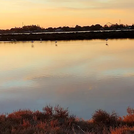 Petit cocon, parking et piscine à Marseillan-2