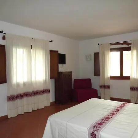 Il Vecchio Ginepro-2
